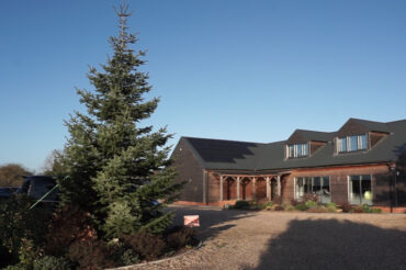 It’s not Christmas till the tree is up